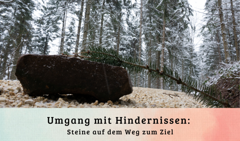 Umgang mit Hindernissen